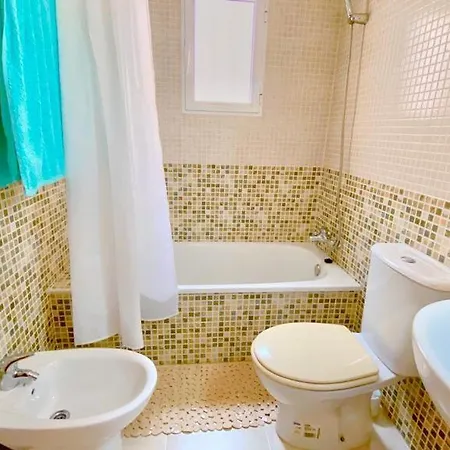 Leonarda 托雷维耶哈