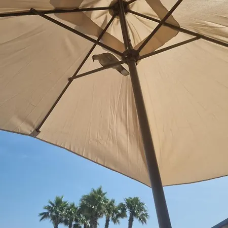 公寓 Leonarda 托雷维耶哈