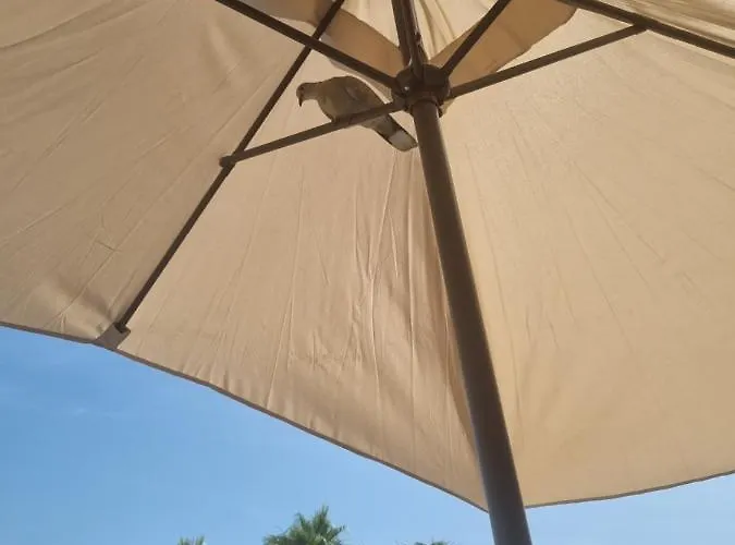 Apartamento Leonarda Torrevieja