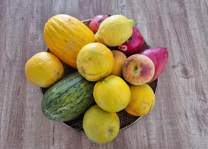 Apartamento Leonarda Torrevieja